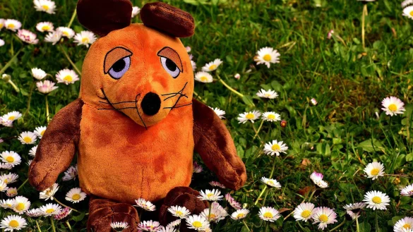 - © Symbolbild: Pixabay