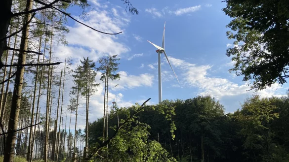 Im Horn-Bad Meinberger Stadtwald gibt es bereits diesen Blick auf eine Windenergieanlage. - © Cordula Gröne