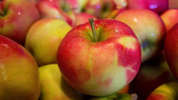 - &copy; Symbolfoto Pixabay