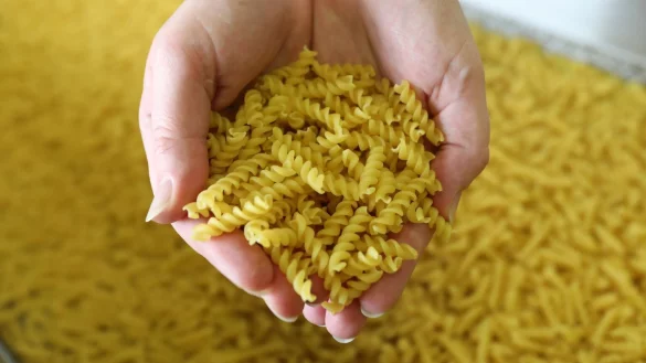 Eine Handvoll Fusilli - &copy; Foto: Bernd W&uuml;stneck/dpa-Zentralbild/dpa-tmn
