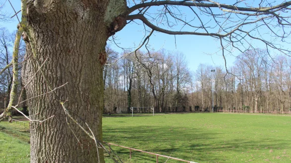 Der Sportplatz Schieder soll grundschulgerecht umgestaltet werden. Die Verwaltung beginnt mit den Planungen. - &copy; Michaela Wei&szlig;e