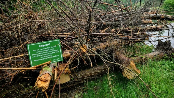 "Hier war zu viel Verkehr", schreiben Eigent&uuml;merin Anna Luetgebrune und P&auml;chter Polizeisportverein auf einem Schild, das die Barrikade am Heidesee im Naturschutzgebiet Rethlager Bach erkl&auml;rt. - &copy; Jost Wolf