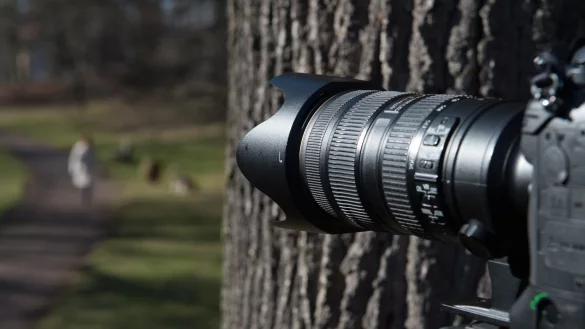 F&uuml;r mehr Kontraste - &copy; Foto: Sebastian Kahnert