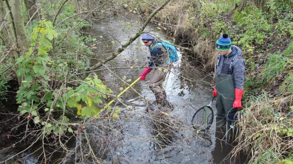 Paul Bisping (links) und Fabian Beinlich fischen die Bega ab. - &copy; Nadine Uphoff