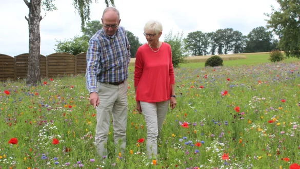 Horst und Helena Begemann inmitten ihrer bunten Bl&uuml;tenpracht. Viele verschiedene Insekten tummeln sich hier, aber auch Schwalben auf Beutezug lassen sich beobachten. - &copy; Reinhold S&ouml;lter