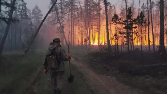 Waldbr&auml;nde - &copy; Foto: Ivan Nikiforov/AP/dpa