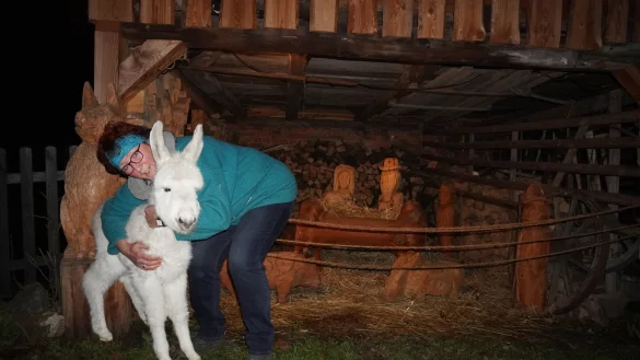 Eselfohlen "Raphael" ist nicht viel gr&ouml;&szlig;er als die Holzfiguren in der Krippe, die Anja Queren-B&uuml;ker f&uuml;r die Spazierg&auml;nger sichtbar auf ihrem Hof aufgebaut hat. - &copy; Michaela Wei&szlig;e