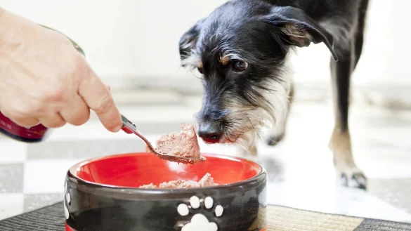 Einheitsbrei - &copy; Foto: Monique W&uuml;stenhagen/dpa-tmn