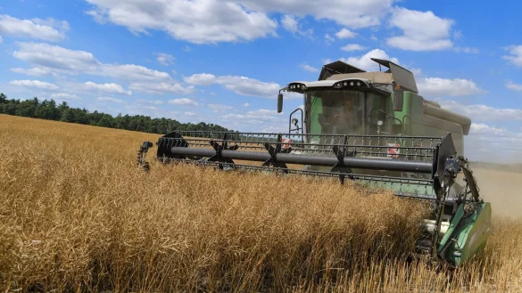 - &copy; Patrick Pleul/dpa-Zentralbild/dpa