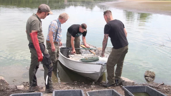 Beim E-Fischen holen Fachleute dicke Fische aus dem Norderteich. Die Aktion wurde in dieser Woche wiederholt. - &copy; Cordula Gr&ouml;ne