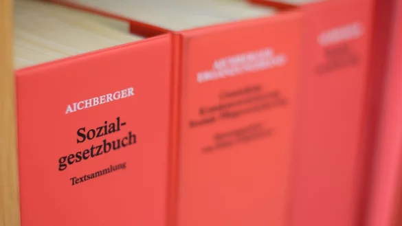 Sozialgesetzbuch - &copy; Foto: Julian Stratenschulte
