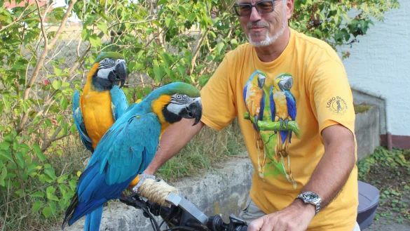 Die Papageien "Einstein" und "Lady" mit Wolfgang Busse  - © Reinhold Sölter