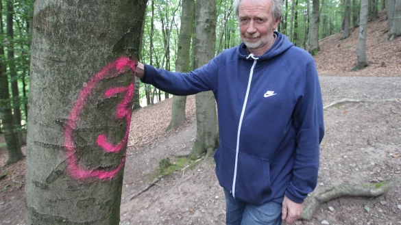 Zum &Auml;rger von Bernd M&uuml;hlenmeier sind im Wald nahe der Wallanlage Alt Sternberg Markierungen im Wald aufgetaucht, die so schnell nicht wieder verschwinden. Eine Art Schnitzeljagd, vermutet M&uuml;hlenmeier. - &copy; Jens Rademacher