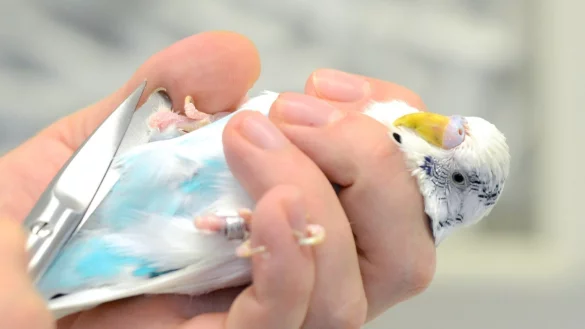 Immer vom R&uuml;cken her umgreifen - &copy; Foto: Caroline Seidel