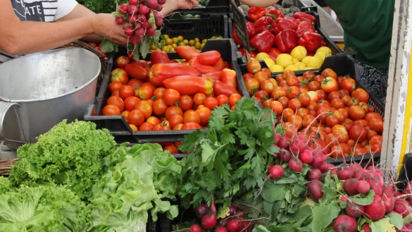 Zur richtigen Jahreszeit k&ouml;nnen Landwirte in der Region den Bedarf der Lipper an Gem&uuml;se bestens abdecken. Dazu braucht es laut der Regionalinitiative Lippequalit&auml;t allerdings ein Umdenken auf vielen Seiten. - &copy; Bernhard Preuss