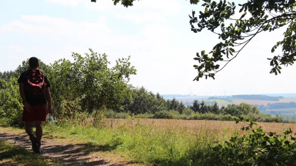 "NaturZeitReise" im Schwalenberger Wald. - © Silke Buhrmester