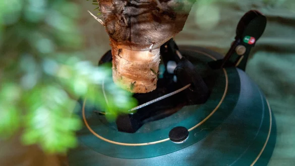 Christbaumst&auml;nder mit Seilzugtechnik - &copy; Foto: Andrea Warnecke/dpa-tmn