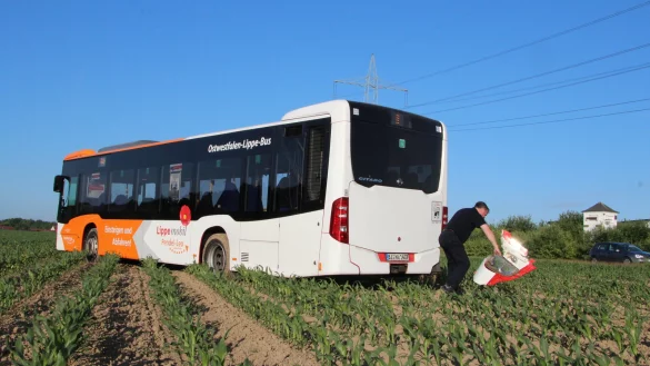 Bus landet auf dem Acker - &copy; Micaela Breder