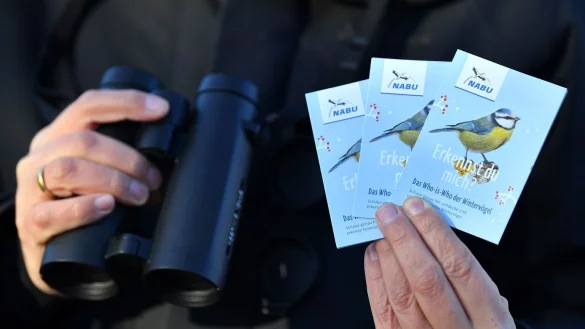 Stunde der Winterv&ouml;gel - &copy; Foto: Martin Schutt/dpa-Zentralbild/dpa