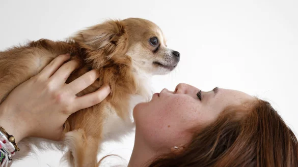 Tierischer Begeleiter: Tiere, die besonders lange und intensiv mit Menschen zusammenleben, weisen laut Experten viele &Auml;hnlichkeiten zum menschlichen Verhalten auf. - &copy; picture alliance / Norbert Schmidt