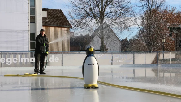 Freut sich schon: Pinguin Coco kann es kaum erwarten, dass ab Freitag viele Kinder mit ihm losziehen wollen. Im Hintergrund tr&auml;gt Matthias B&auml;hr gerade eine neue Lage Wasser auf die Eisschicht auf. - &copy; Yvonne Glandien
