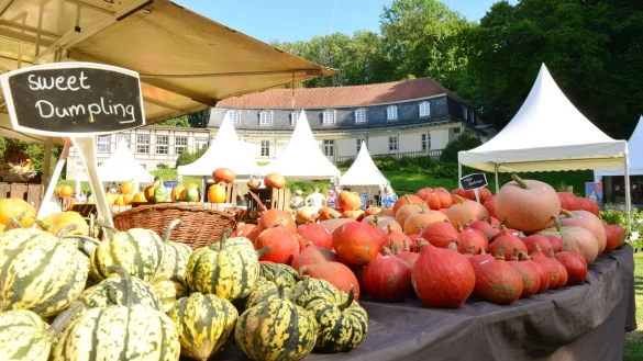 Große Auswahl: Das Freilichtmuseum veranstaltet den vierten „Freilichtgenuss". 60 Aussteller präsentieren ihre Produkte. Daneben gibt es ein Rahmenprogramm für Kinder und Erwachsene. - © Archivfoto: Andre Gallisch