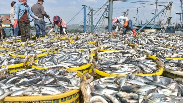 - &copy; Song Weiwei/XinHua/dpa