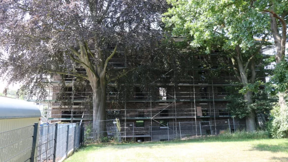 Die Blutbuche an der Hoffmannstra&szlig;e &uuml;berragt den Neubau direkt daneben deutlich. - &copy; Alexandra Schaller