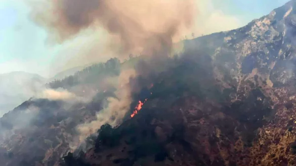 Waldbr&auml;nde in Italien - &copy; Foto: -/Parco Nazionale Aspromonte/dpa