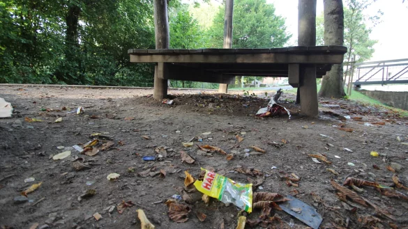 M&uuml;ll am M&uuml;hlendamm ist vielen Hohenhausern ein Dorn im Auge. - &copy; Jens Rademacher
