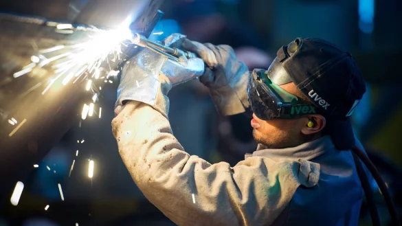 Schwei&szlig;er - &copy; Foto: Patrick Pleul/zb/dpa/Symbolbild