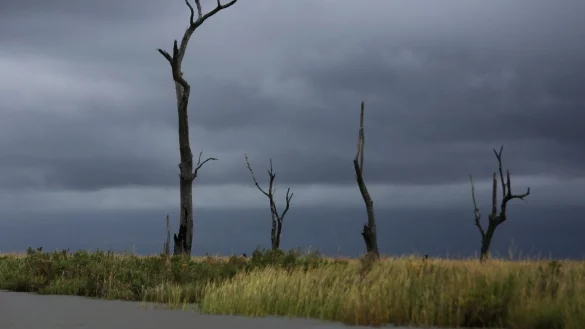 UN-Klimagipfel - &copy; Foto: Jessie Wardarski/AP/dpa