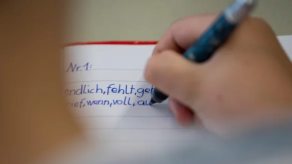 Rechtschreibung in der Grundschule - &copy; Foto: Sebastian Gollnow/dpa