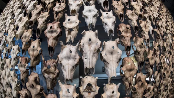 documenta 14 - © Foto: Boris Roessler