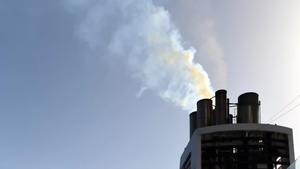 Kreuzfahrt - © Foto: Andrea Warnecke/dpa-tmn