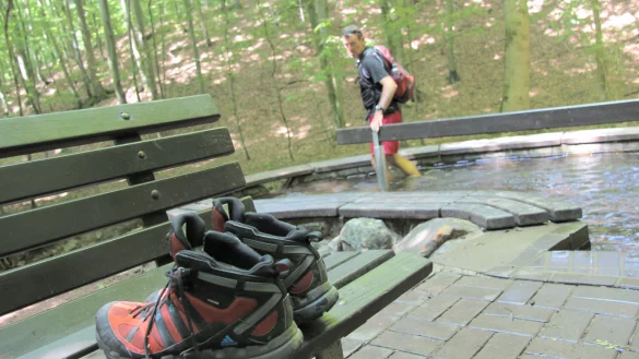 Eiskalt: Wassertreten im Schiederaner Wald. - © Silke Buhrmester