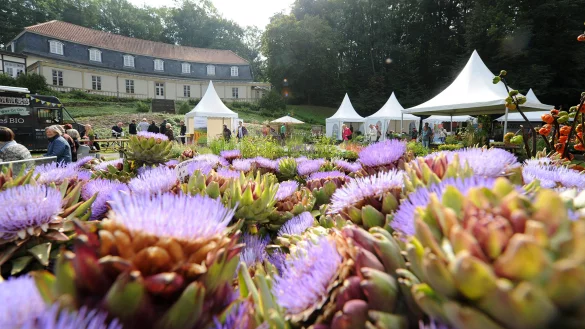 Freilichtgenuss_1_ und 3LWL_Klein..Im Eingangsbereich vor dem Krummen Haus breiten unter anderem Biogärtnereien.ihre Pflanzen aus. - © LWL/Klein