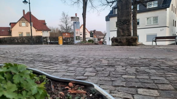 Der Ausschuss hat sich gegen eine Versetzung des Kaiser-Wilhelm-Denkmals ausgesprochen. Die Baumeinfassungen sind teilweise besch&auml;digt. Diese sollen durch Betonstein-Umrandungen ersetzt werden. - &copy; Michaela Wei&szlig;e