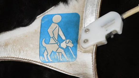 Blindenhund Logo - &copy; Foto: picture alliance / dpa