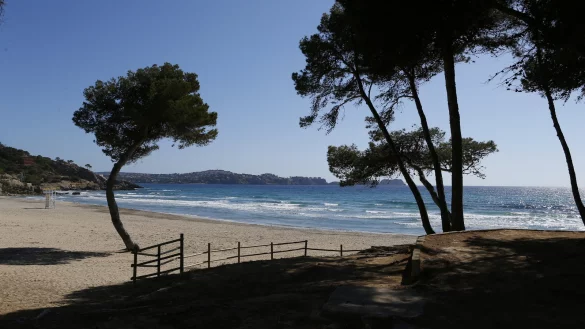 So sah es am 23. M&auml;rz 2021 am Strand von Peguera im S&uuml;dwesten von Mallorca aus. - &copy; Reuters