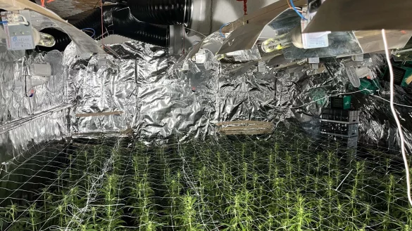 Diese Cannabis-Plantage hat die Polizei entdeckt. - © Polizei Lippe