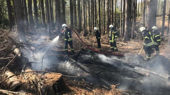Einsatzkr&auml;fte der Barntruper Feuerwehr l&ouml;schen brennenden Waldboden im &bdquo;Kr&auml;henholz".&nbsp; - &copy; Feuerwehr Barntrup