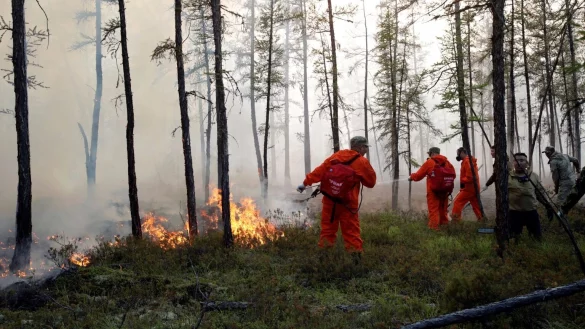 Waldbr&auml;nde in Russland - &copy; Foto: Vasily Kuper/AP/dpa