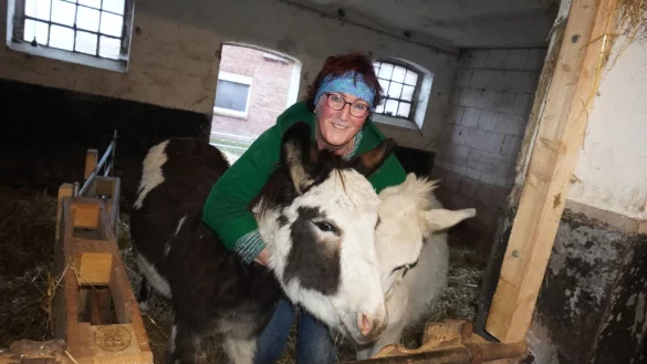 Die beiden Hausesel "Nono" und "Rafael" freuen sich &uuml;ber die Streicheleinheiten von Anja Queren-B&uuml;ker. - &copy; Michaela Wei&szlig;e(LZ)