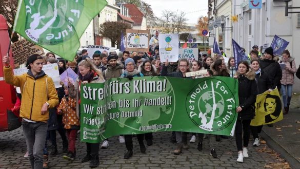 Die &bdquo;Lippe for Future" und &bdquo;Fridays for Future"-Bewegungen planen coronakonforme Demonstrationen in Detmold und Lemgo.&nbsp; - &copy; Archivfoto: Bernhard Preu&szlig;
