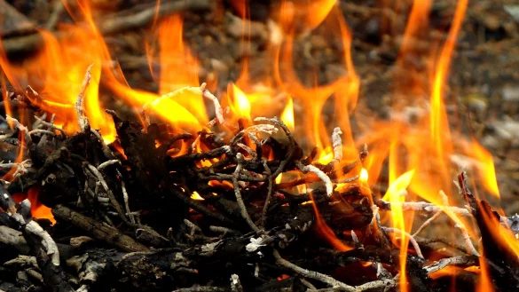 Symbolbild. - &copy; Pixabay