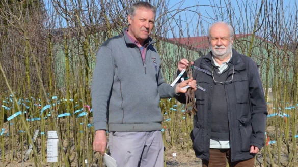 Willi Hennebr&uuml;der (rechts) &uuml;bergibt Ralf Eikermann Edelreiser verschiedener alter Obstsorten. - &copy; BUND Lippe