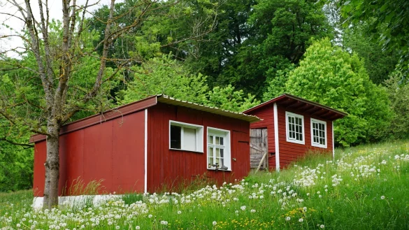 - &copy; Symbolfoto: Pixabay