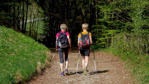 Zwei Frauen beim Nordic Walking in einem Waldstück. - © Symbolfoto: Pixabay