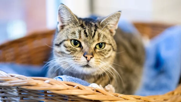 - &copy; Hauke-Christian Dittrich/dpa